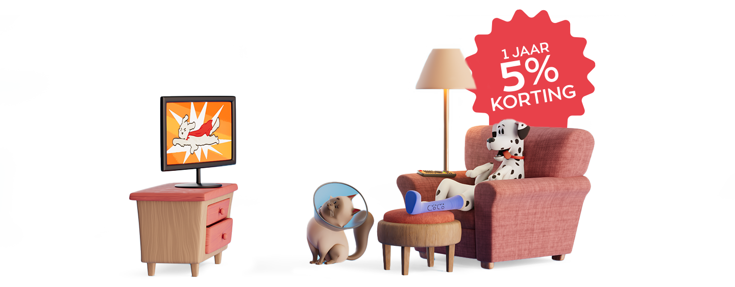 Een hond met het been in het gips en een kat met een beschermkraag kijken televisie