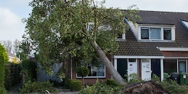 stormschade boom op woning