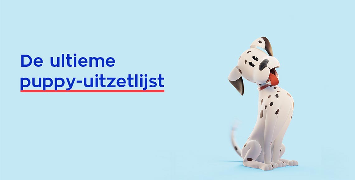 Dalmatier zittend