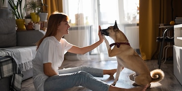 Vrouw en hond high five