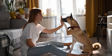 Vrouw en hond high five