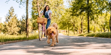 Vrouw fietst met hond