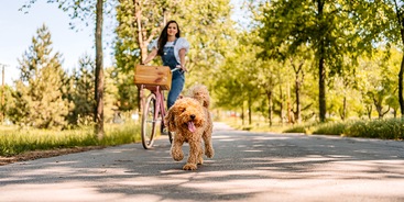 Vrouw fietst met hond